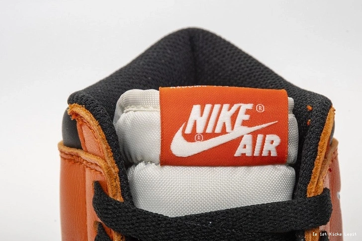 Shattered Reteo OG Jordan Air Reverse Backboard 555088-113 1 0109